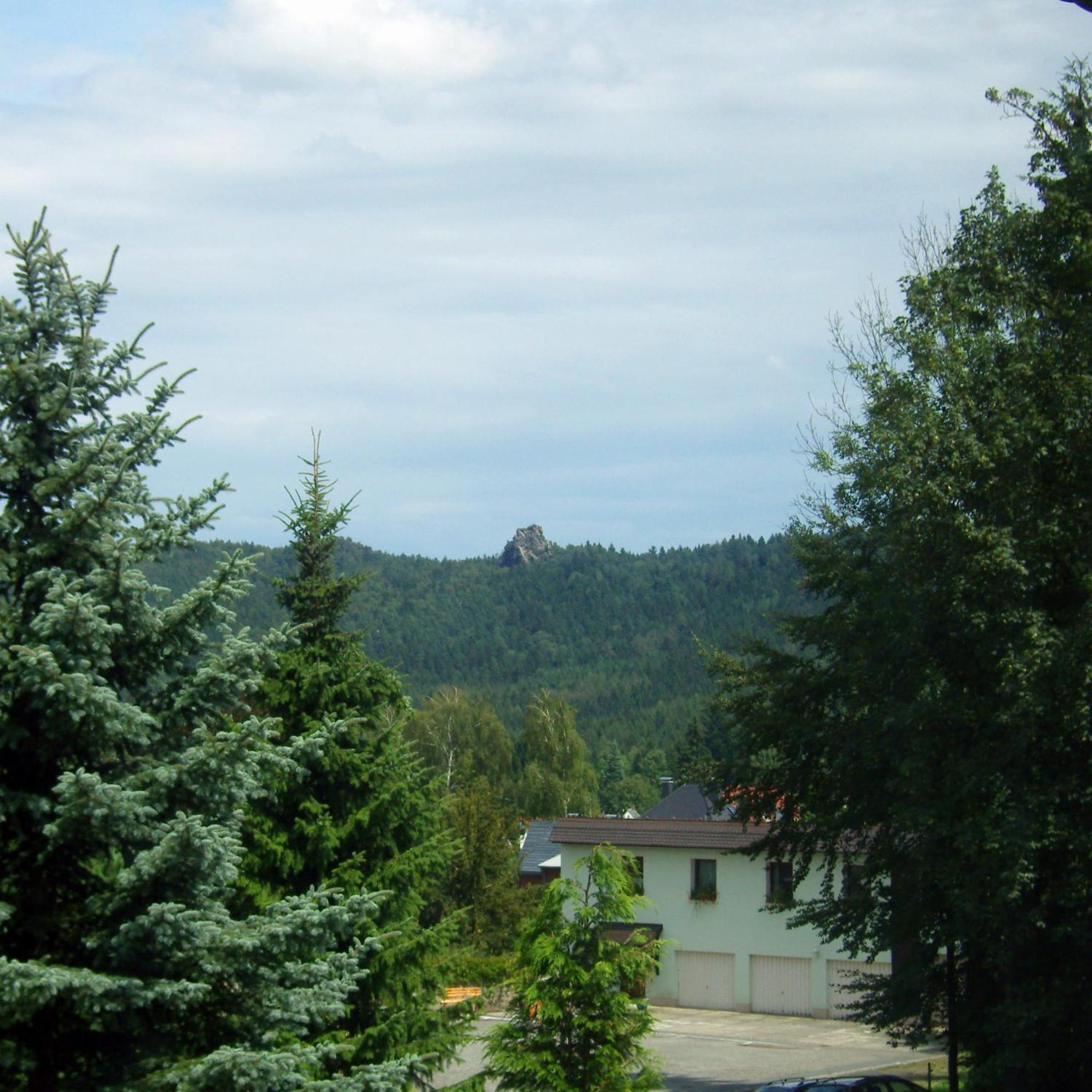 Naturparkhotel Haus Hubertus Курорт Ойбин Екстериор снимка